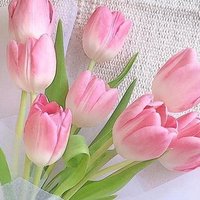 🌷 POZİTİF DÜŞÜNCE🌷🌷🌷Positive Thought (@positivedusunce) 's Twitter Profile