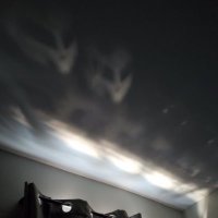 ໊ (@cawned) 's Twitter Profile