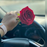 Manal-alsayed (@manalalsayed10) 's Twitter Profile