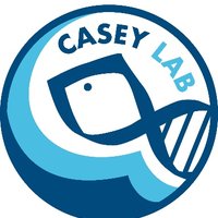 Casey Lab(@TheCaseyLab) 's Twitter Profile Photo