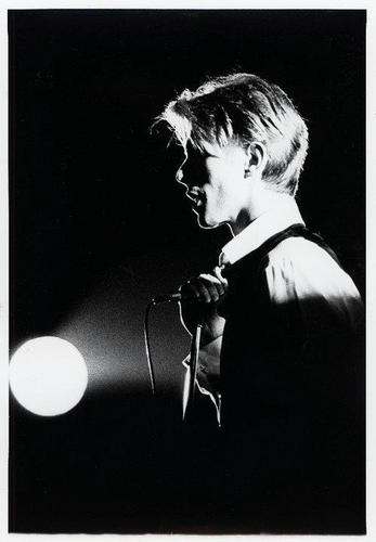 drharii's profile picture. 