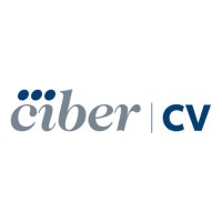 CIBERCV (@ciber_cv) 's Twitter Profile