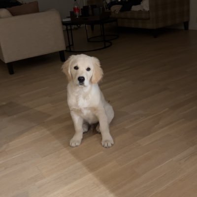 radianceexo's profile picture. forever in my heart