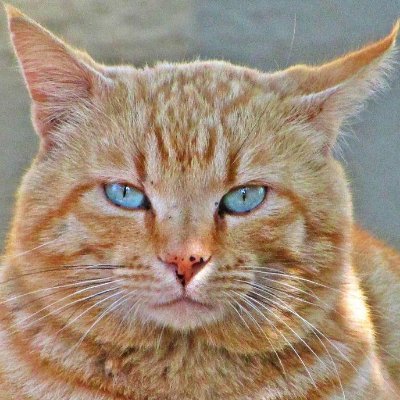 strukturmeiste2's profile picture. Systems thinking is the foundation of  change.
Kanban is the way to make the structure.
The mechanics of work must be understood either way.