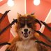 Zuki (@zukiakula) Twitter profile photo Zuki (@zukiakula) Twitter profile photo