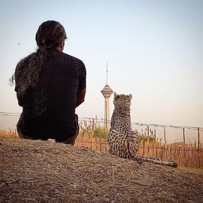 گروه حقوقی دادبان ™