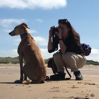 Kate Vogelsang-Baird MCIPR (@kate_bob) 's Twitter Profile