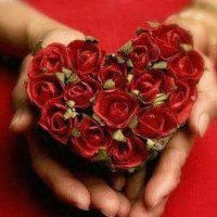 abd-alkader๐ (@abdalka14625225) 's Twitter Profile Photo abd-alkader๐ (@abdalka14625225) 's Twitter Profile Photo
