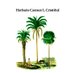 Herbario CTES (@herbario_ctes) Twitter profile photo Herbario CTES (@herbario_ctes) Twitter profile photo
