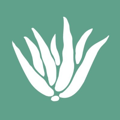 Aloe_Up's profile picture. Aloe Vera Gel based sunscreen & skincare. Paraben free. Oxybenzone & Octinoxate free. Cruelty free. Reef safe & biodegradable. est. 1983