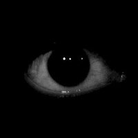 ✦ Avinutra ✦ (@avinutra) 's Twitter Profile Photo ✦ Avinutra ✦ (@avinutra) 's Twitter Profile Photo