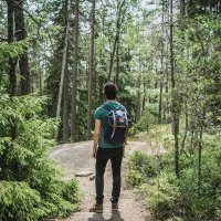 Talha Akın (@talhasems2) 's Twitter Profile