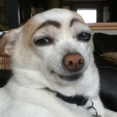 sntbg_'s profile picture.