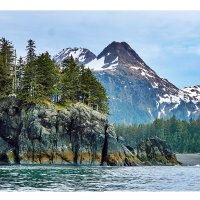 Jacqueline Bell❤ Memecoin (@salwaso2013) 's Twitter Profile