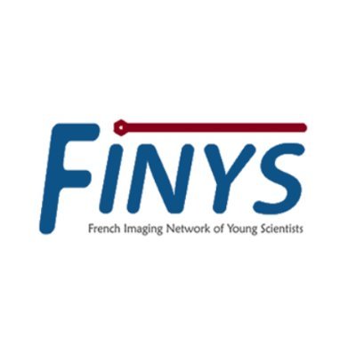 FINYS is a young ESMI group and as such part of the 
@ESMI_society.
Chairs: Sophie Poty, @PedronSwannie, @Audrey_picot , @AmauryGuillou and @ChevaleyreClin1