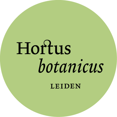De oudste botanische tuin van Nederland 🌼 Bijzondere planten in het hart van Leiden 🌵 @UniLeiden