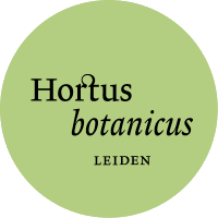 Hortus Leiden(@HortusLeiden) 's Twitter Profile Photo
