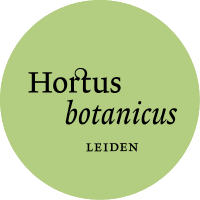 Hortus Leiden (@hortusleiden) 's Twitter Profile