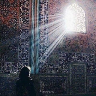 “كضباء مكة صيدهن حرامُ
