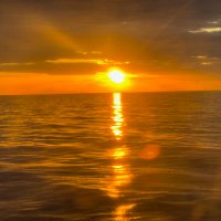 Dawn Stemmer Psychotherapist (@therapist62) 's Twitter Profile