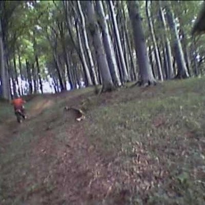 MalyTraktor's profile picture. 