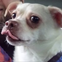 LUKE MORTAL (@luke_mortal) 's Twitter Profile