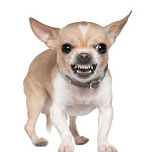 dinkledorrff's profile picture. go away david