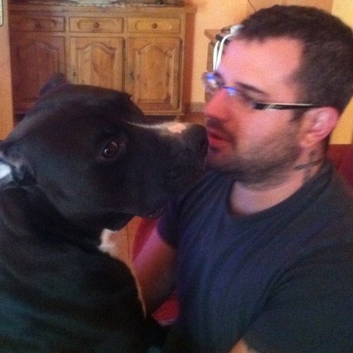 frankibmw's profile picture. 