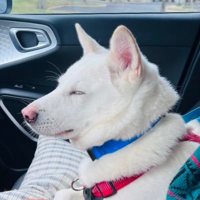 Senさんのプロフィール画像
