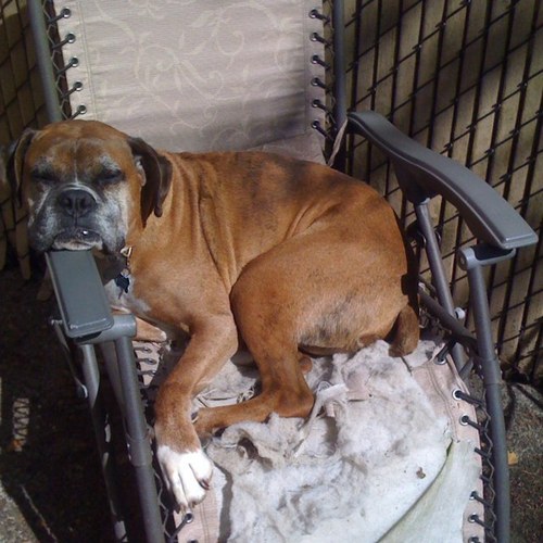 mistermitty's profile picture. 