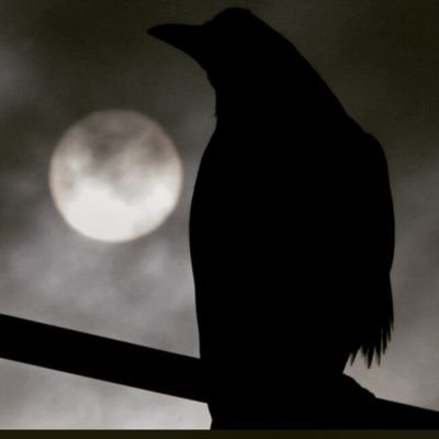 There's a crow sitting on my head- 
23| pan | single | Privat Account von @el_dont_know
vents/rents, pics, thoughts, etc.