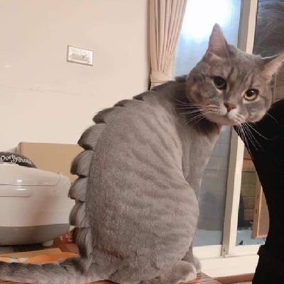 Duhtps_'s profile picture. 