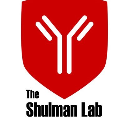 ZivShulman Profile Picture