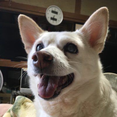 和《カズ》さんのプロフィール画像