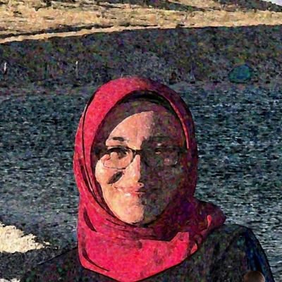 gulnist's profile picture. Dreams are #security realities are #malware 😜