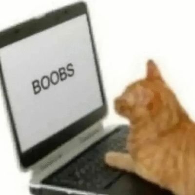 T1ddyM3rch4nt's profile picture. Ex-lurker who sometimes posts art | 20 | they/them | DNI ртшт, sfш, followintg ссs, 18+ ONLY.