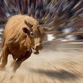 chaghanso's profile picture. 이것 저것 좋아합니다.
이것 저것 만듭니다.
제가 만들 수 있는 능력이 된다면 요구사항도 받습니다.
*작업물 대부분에 AI가 사용되고 있습니다.