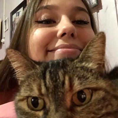 apaixonada por gatos, animes e torta de limão || @zabezabepv