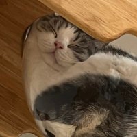 คนปลูกแครอทต้องสู้ (@aquamarine_ploy) 's Twitter Profile Photo