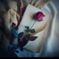 ❤️yasemin❤️Aykut❤️ (@yasemin85185432) 's Twitter Profile Photo ❤️yasemin❤️Aykut❤️ (@yasemin85185432) 's Twitter Profile Photo