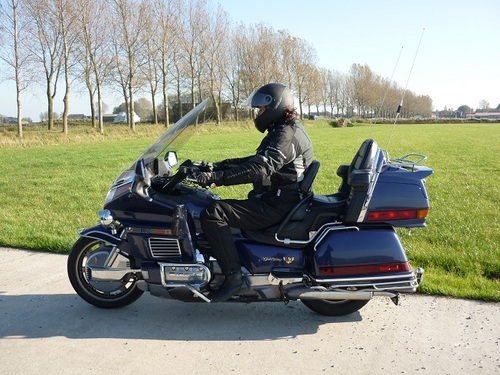 daniellemmens's profile picture. 