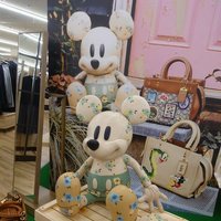 にいがたやりもく22歳 (@b5whhqfv0rvj7c5) 's Twitter Profile