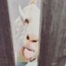 ヤギ太郎 (@goat_mushamusha) Twitter profile photo ヤギ太郎 (@goat_mushamusha) Twitter profile photo