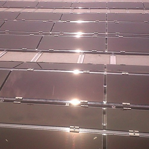 sbrenewables's profile picture. 