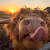 S U E Z I E🖖🏻 (@suezenincognito) 's Twitter Profile