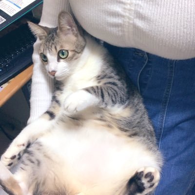 nozomicyan8686's profile picture. 