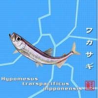 涼 (@ryon2_0509) Twitter profile photo