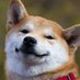 Dogekie (@bakugodoge) Twitter profile photo Dogekie (@bakugodoge) Twitter profile photo