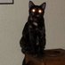 AZ atheist (@justinbellis) Twitter profile photo AZ atheist (@justinbellis) Twitter profile photo
