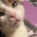 athena bean - @DBriua - Twitter